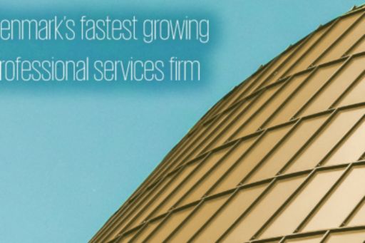 Denmark's fastest growing professional services firm