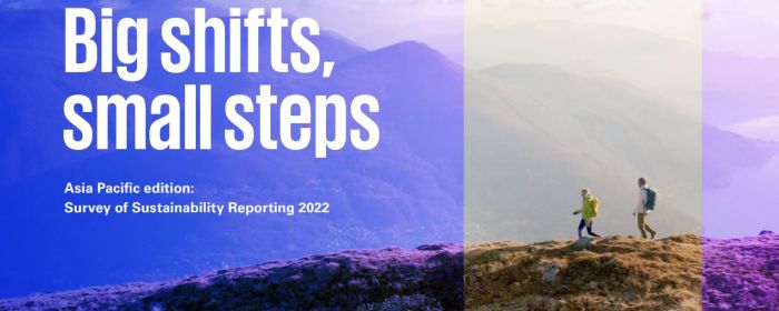Global Survey of Sustainability Reporting 2022
