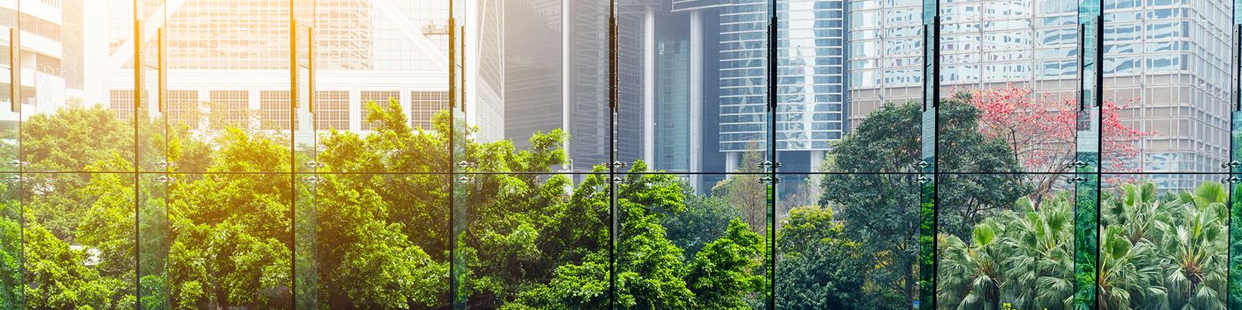 Bäume vor Glasfront