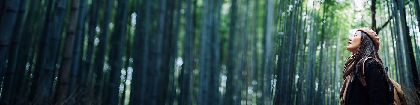 Asian girl in bamboo forest