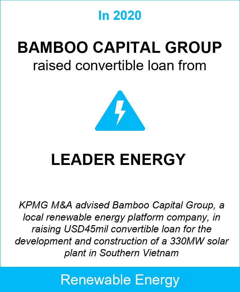 bamboo capital and leader energy