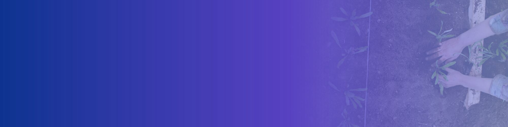 Proyecciones agrícolas frente a un doble frente de riesgo