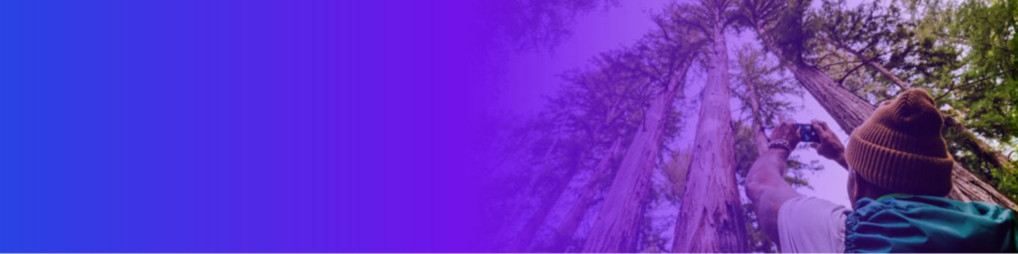 reporte sostenibilidad