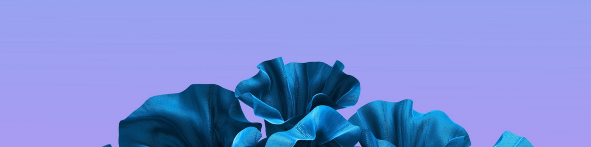purple graphic swirl on blue background