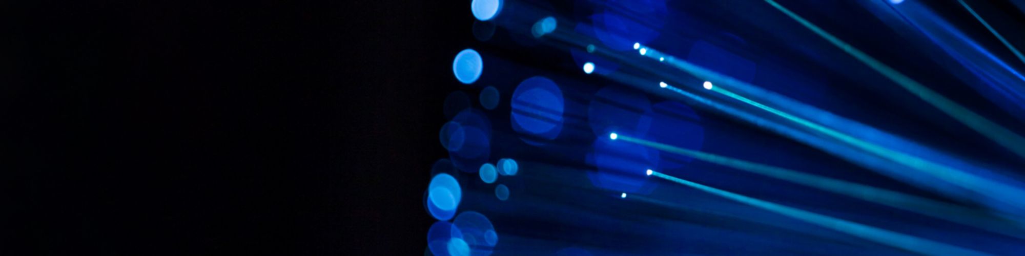 2019 Fintech100 Araştırması