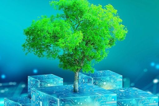 Baum umgeben von abstrakten Würfeln