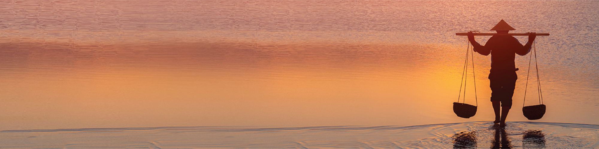 Como producto de la pandemia, los CFO japoneses viran hacia los criterios ESG