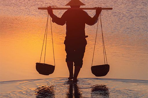 Como producto de la pandemia, los CFO japoneses viran hacia los criterios ESG