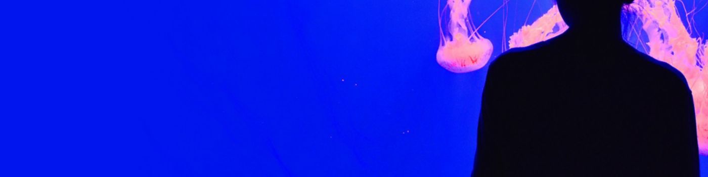 blue-water-jellyfish-girl-new