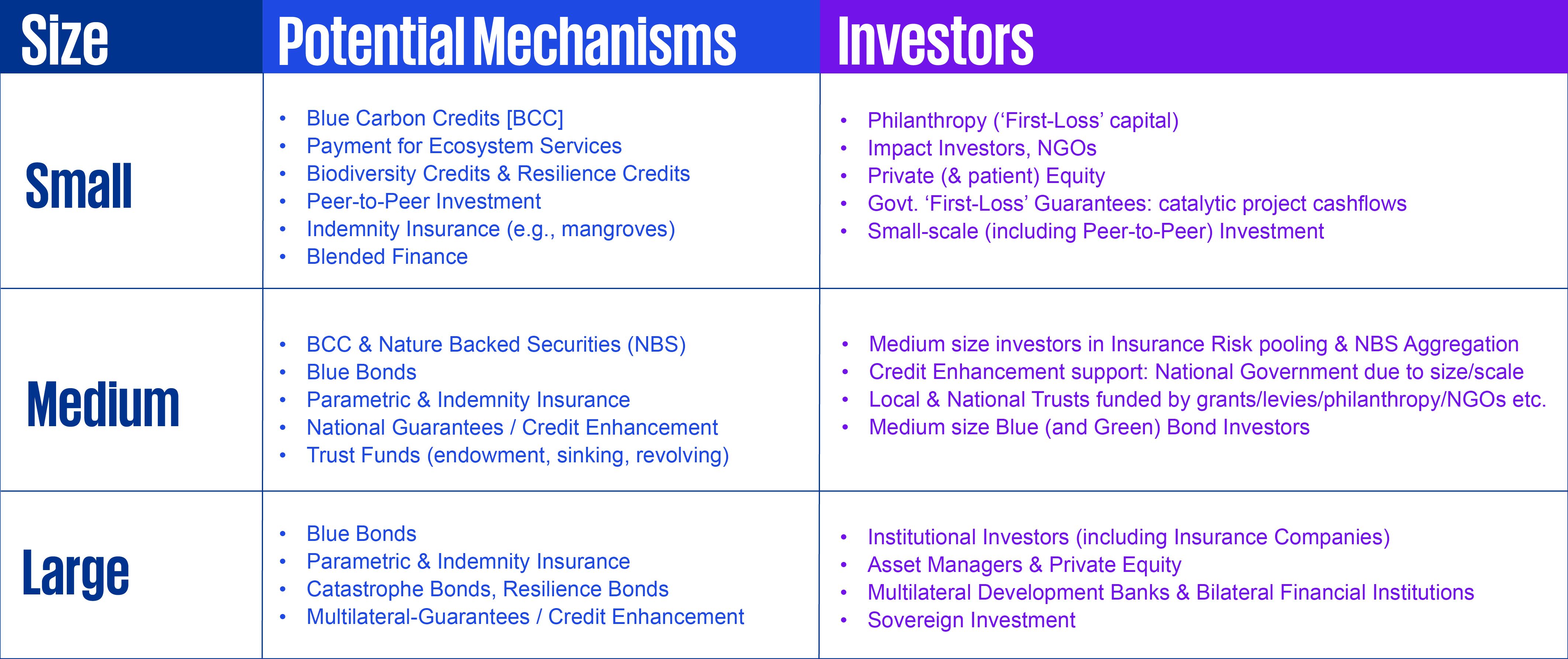 blue finance information table