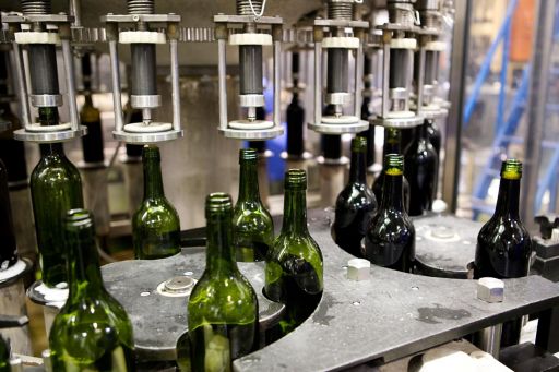 bottles of wine in factory to be filled