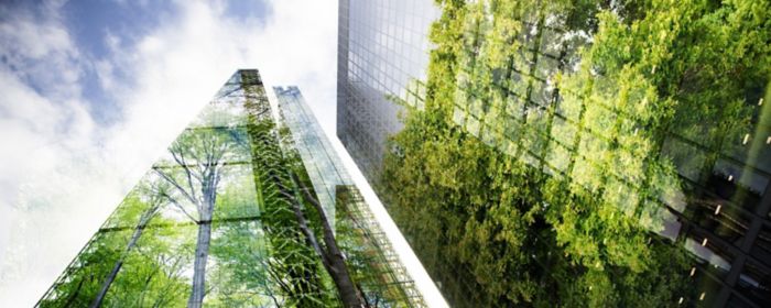 ESG: Gestionar criterios ambientales, sociales y de gobernanza