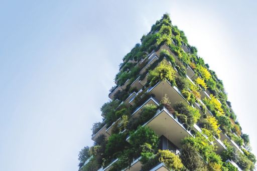 Building with vertical green plants