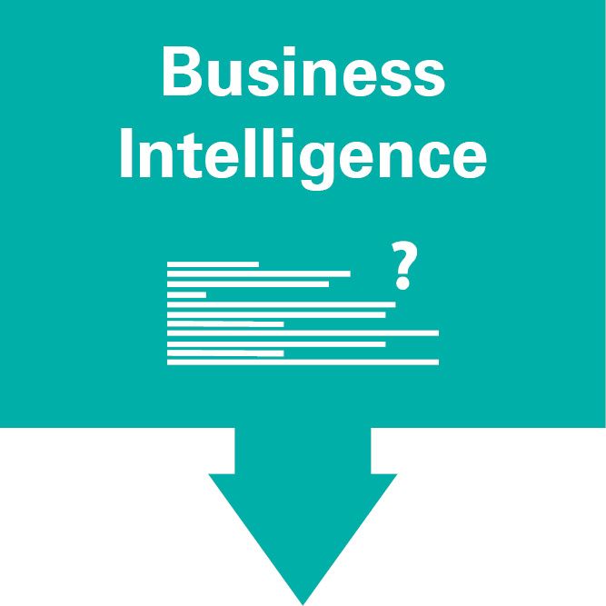 Business Intelligence