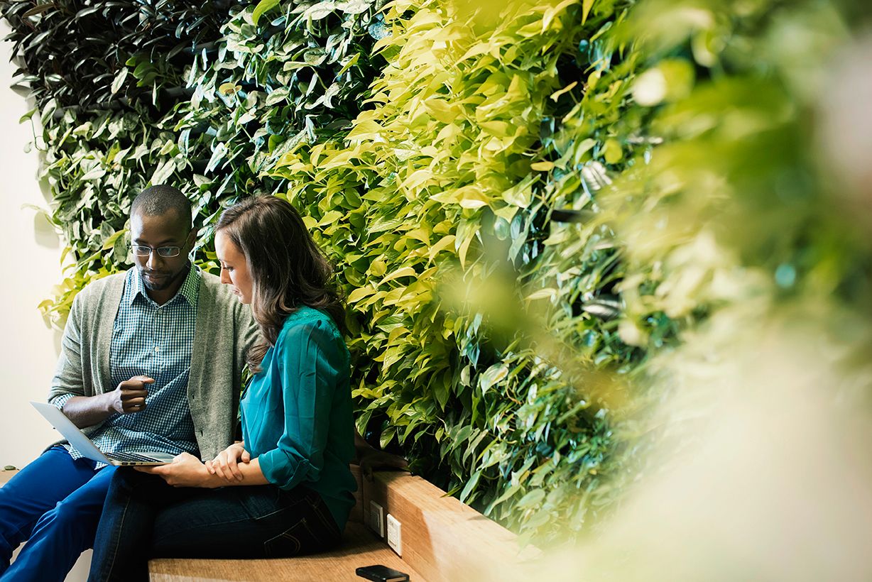 Businessman and woman sitting in front of green plant wall