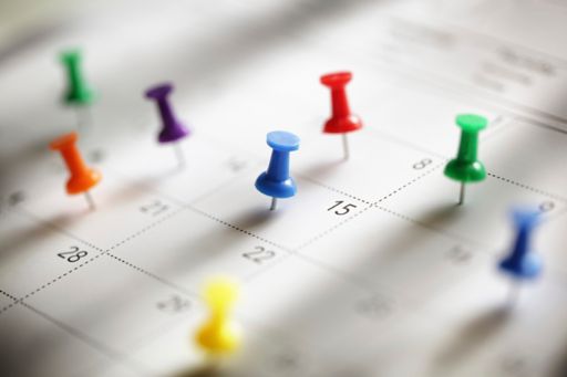 Calendar with coloured pins