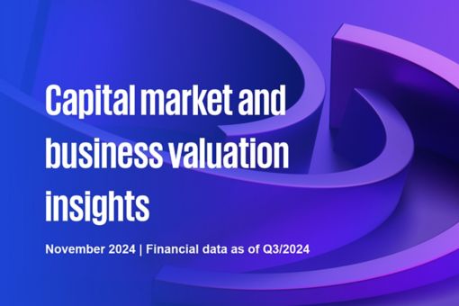 Capital market and business valuation insights - November 2024