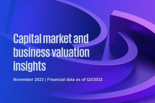 Capital market and business valuation insights - November 2023
