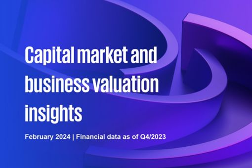 Capital market and business valuation insights - February 2024