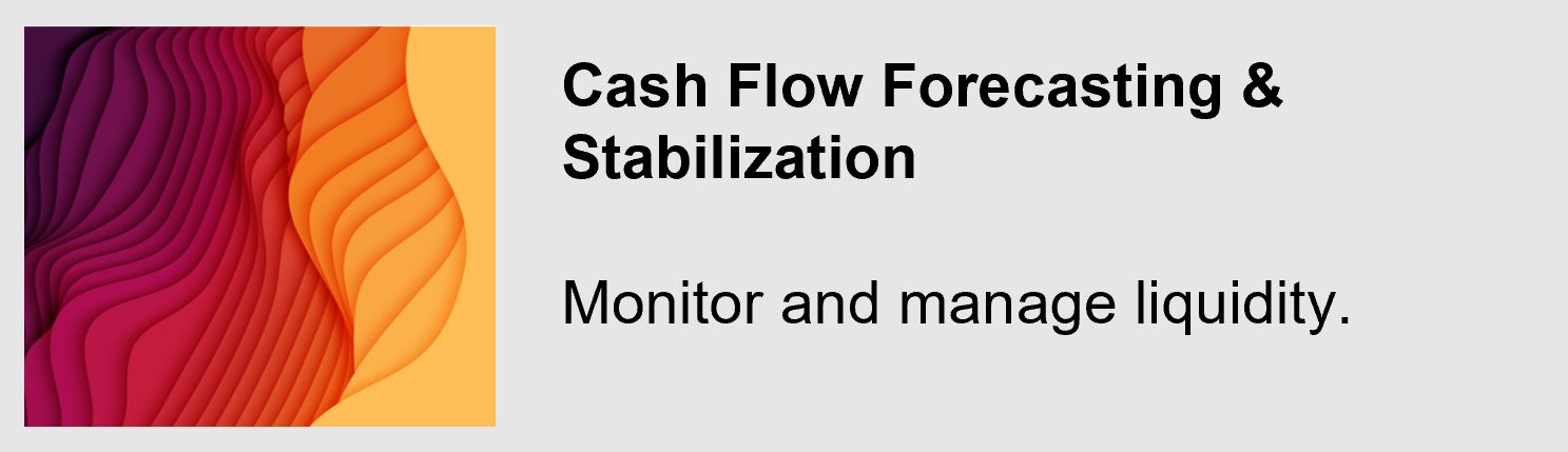 cash flow forcasting and stabilization