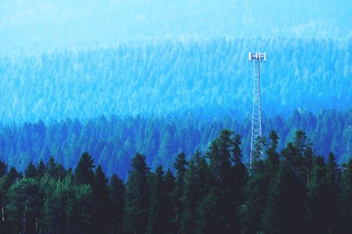 Cell tower in forest