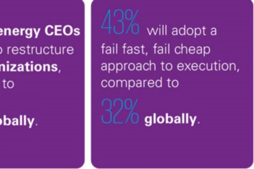 What is your organization doing to accelerate the execution of your strategy?