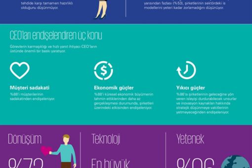 Küresel CEO Araştırması İnfografik