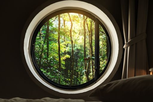 Circular window to forest