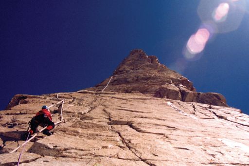 Tax Risk Management in China