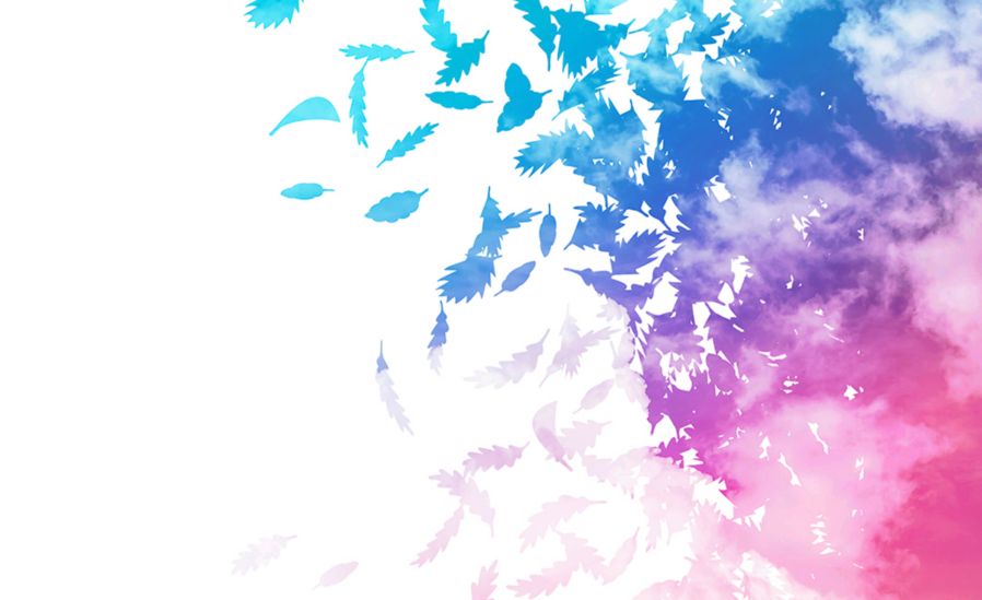 colorful-feathers-white-background