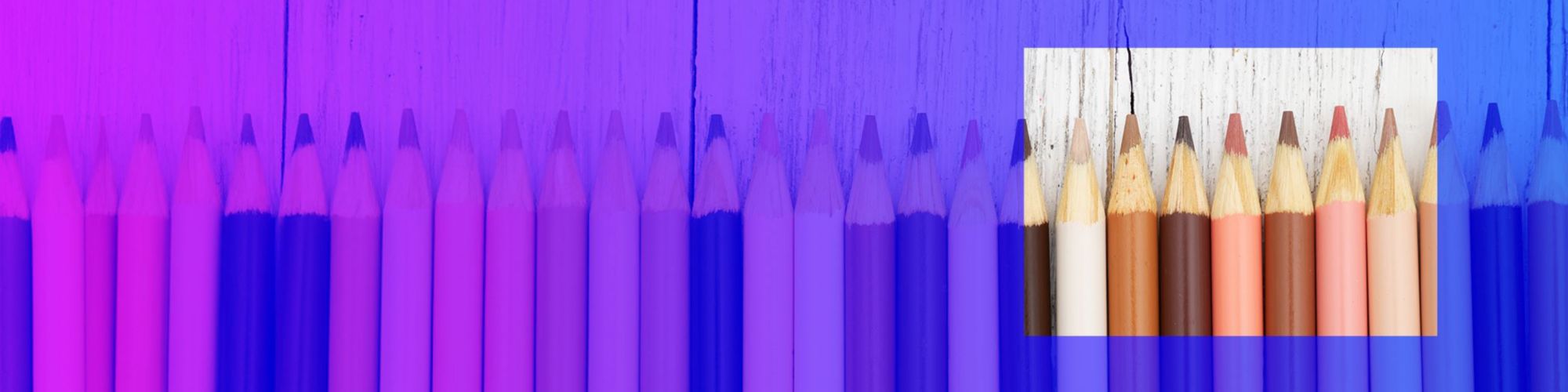 A row of multi-coloured pencils