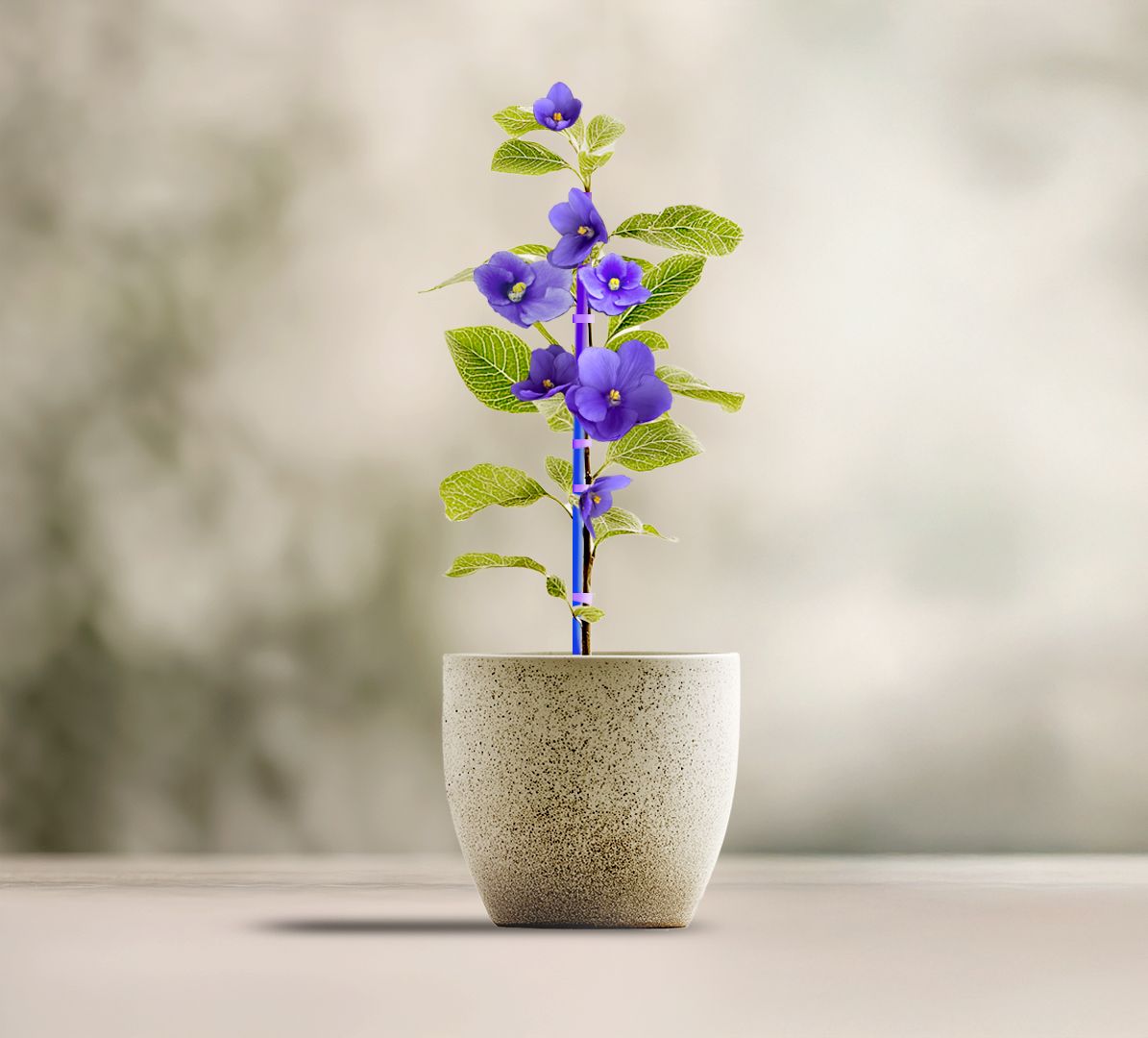 man looking to the side