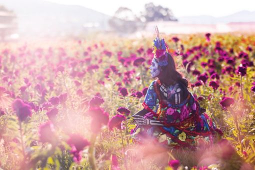 Catrina en un campo de flores mexicanas y sol