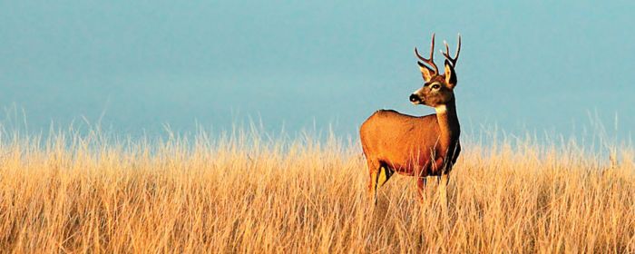 Sigorta sektörü zorluklara rağmen fırsat sunmaya devam ediyor