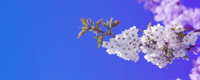 Directors Quarterly: April 2025