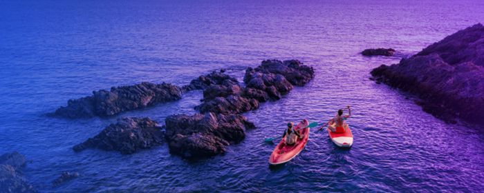 Directors Quarterly: July 2024