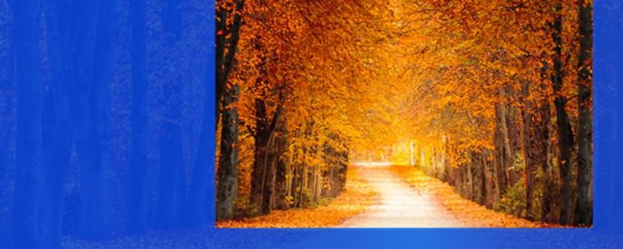 Directors Quarterly: Q4 2025