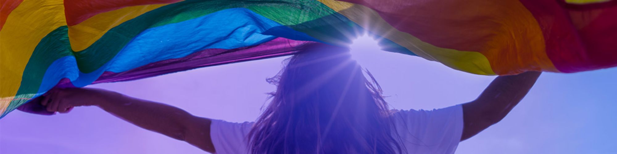Person holding a pride flag 