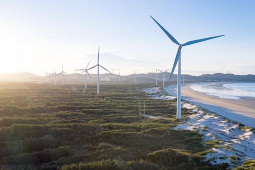 Windmills in landscape