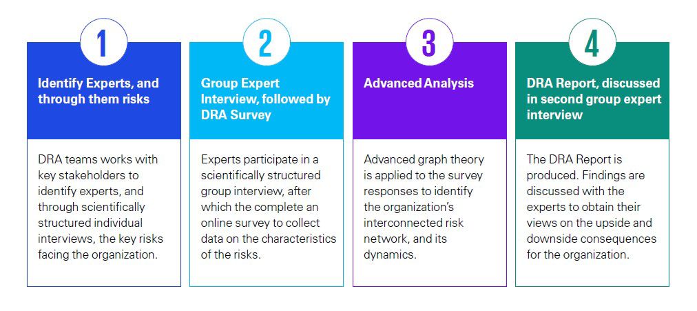 Dynamic Risk Assessment KPMG 