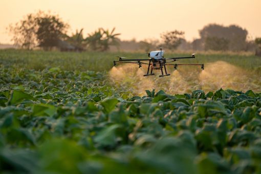 drone spraying crops from above