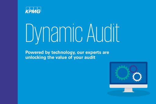 dynamic audit