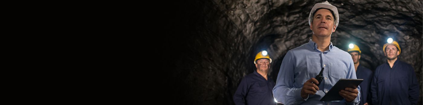 Encuesta global sobre riesgos para la Minería