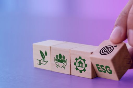 ESG: Environmental, Social and Governance