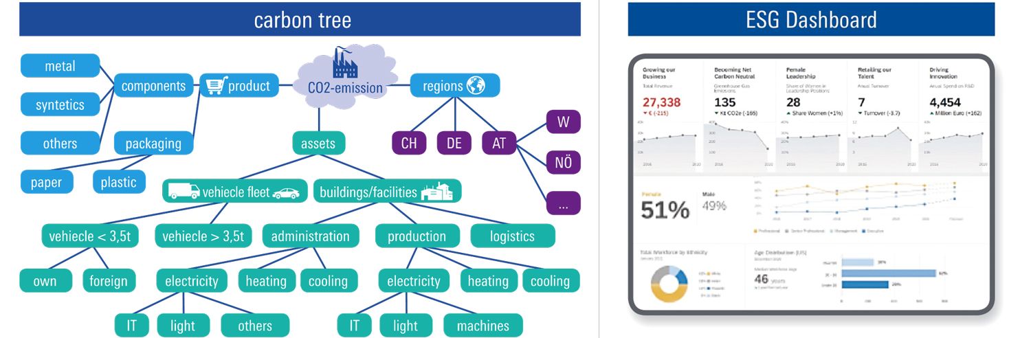  Carbon Tree und Dashboard