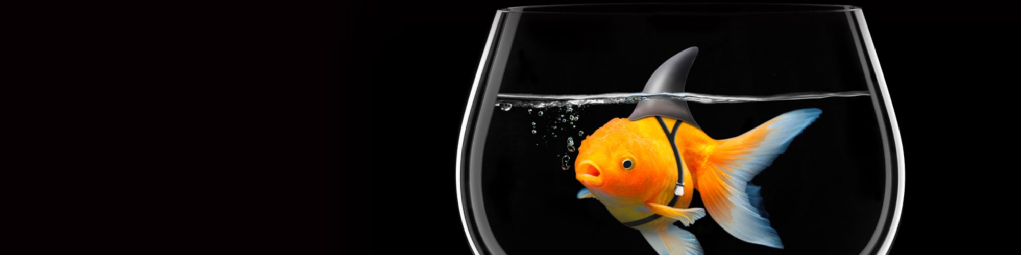 Etik ve Uyum Bülteni