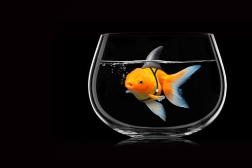 Etik ve Uyum Bülteni 2020 Sayı – 4