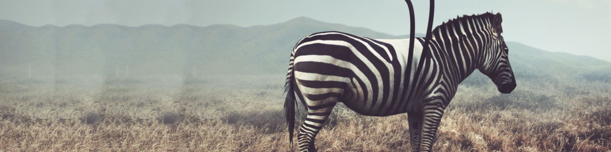 Etik ve Uyum Bülteni