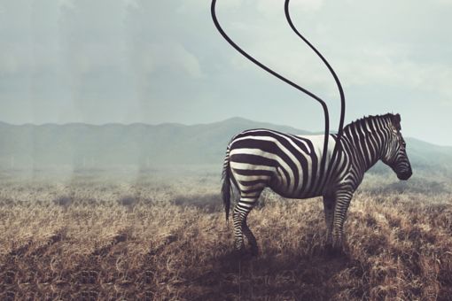 Etik ve Uyum Bülteni 2021 Sayı – 9