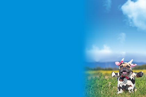 Etik ve Uyum Bülteni 2020 Sayı – 7